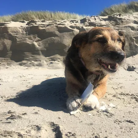 Nordsee Glamping Mobilheim 2329 * Bredene