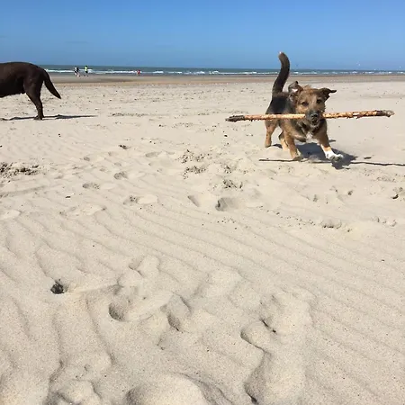 Сasa de vacaciones Nordsee Glamping Mobilheim 2329