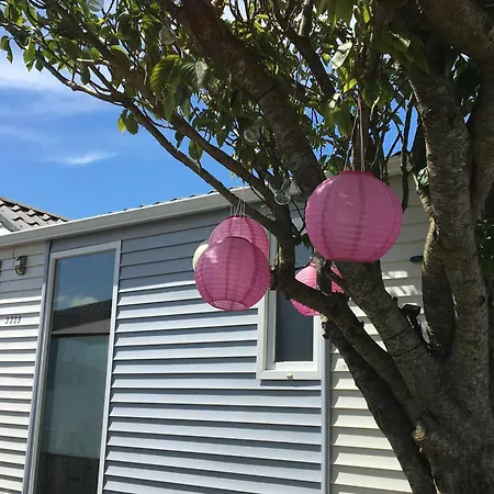 Nordsee Glamping Mobilheim 2329 *